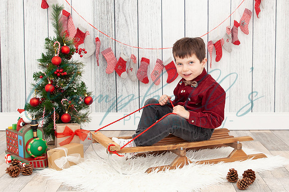 Arthur - Christmas mini photoshoot