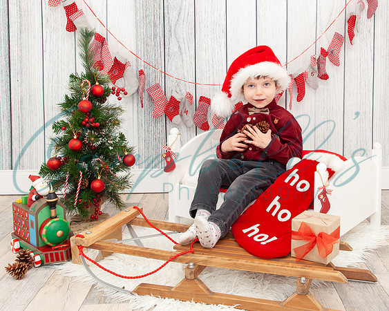 Arthur - Christmas mini photoshoot