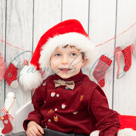 Arthur - Christmas mini photoshoot
