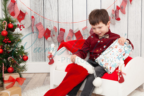 Arthur - Christmas mini photoshoot