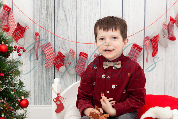 Arthur - Christmas mini photoshoot