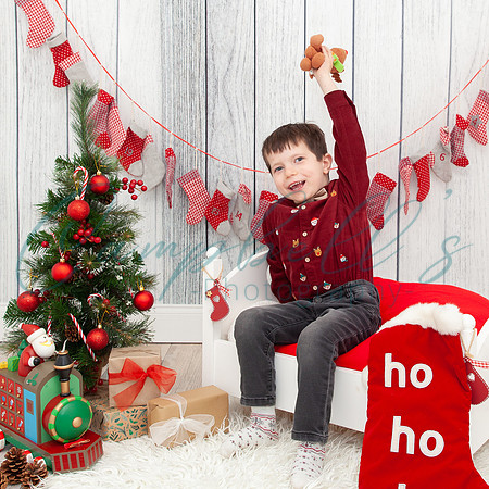 Arthur - Christmas mini photoshoot
