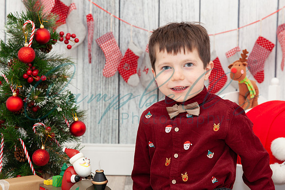 Arthur - Christmas mini photoshoot
