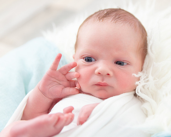 Cole - Newborn Mini Photoshoot