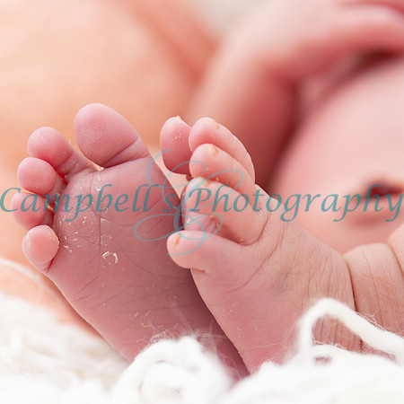 Maya - Newborn Photoshoot