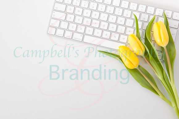 Yellow stock photo collection,