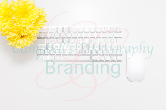 Yellow stock photo collection