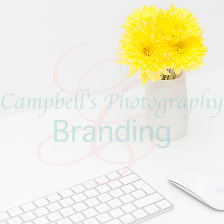 Yellow stock photo collection