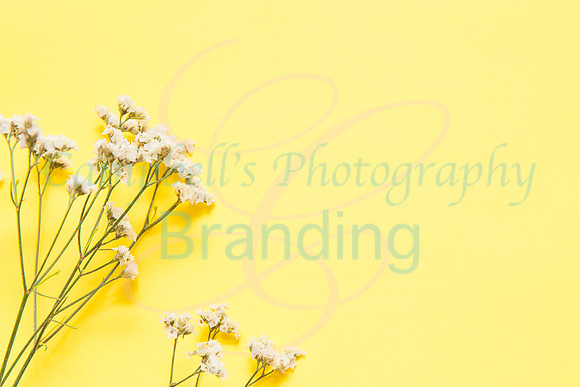 Yellow stock photo collection